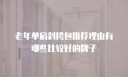 老年单肩斜挎包推荐理由有哪些比较好的牌子