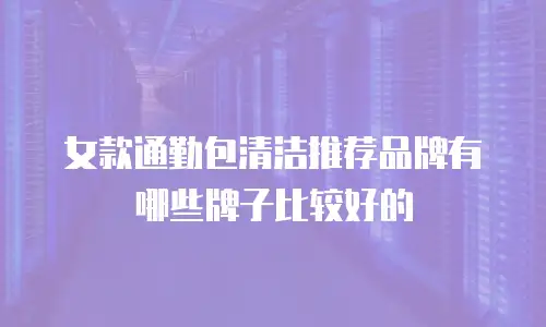 女款通勤包清洁推荐品牌有哪些牌子比较好的