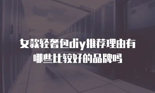 女款轻奢包diy推荐理由有哪些比较好的品牌吗