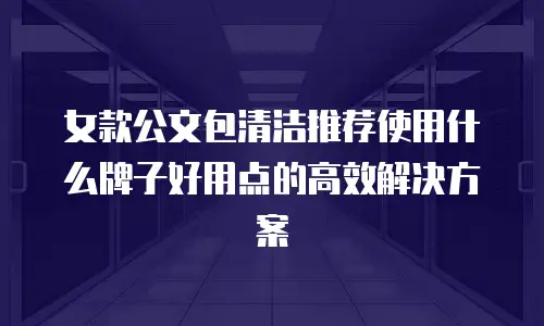 女款公文包清洁推荐使用什么牌子好用点的高效解决方案