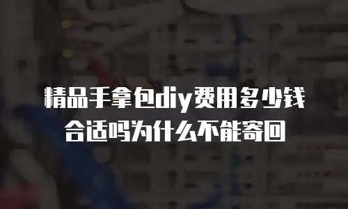 精品手拿包diy费用多少钱合适吗为什么不能寄回