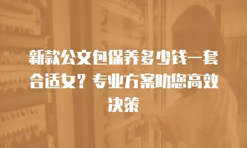 新款公文包保养多少钱一套合适女？专业方案助您高效决策