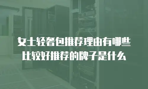女士轻奢包推荐理由有哪些比较好推荐的牌子是什么