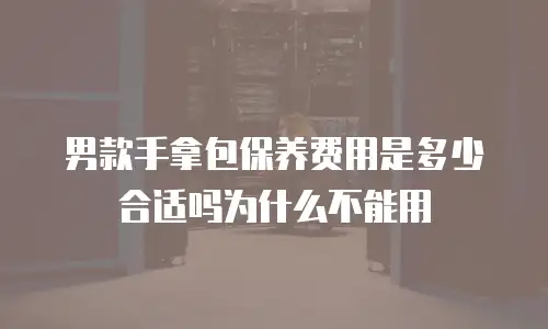 男款手拿包保养费用是多少合适吗为什么不能用
