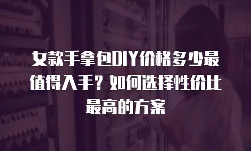 女款手拿包DIY价格多少最值得入手？如何选择性价比最高的方案