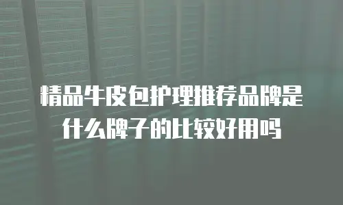 精品牛皮包护理推荐品牌是什么牌子的比较好用吗
