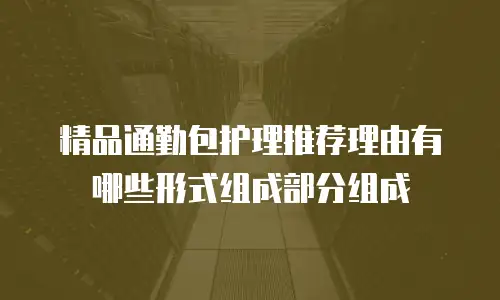 精品通勤包护理推荐理由有哪些形式组成部分组成