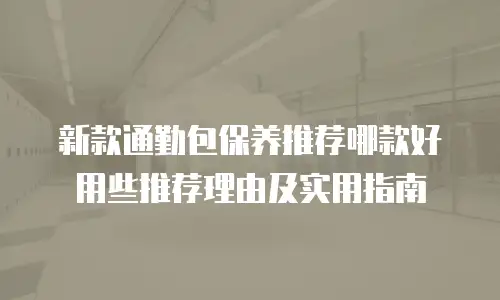 新款通勤包保养推荐哪款好用些推荐理由及实用指南