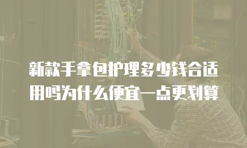 新款手拿包护理多少钱合适用吗为什么便宜一点更划算