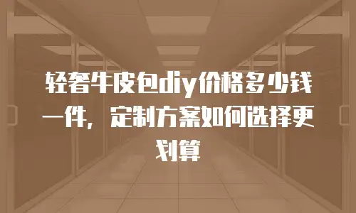 轻奢牛皮包diy价格多少钱一件，定制方案如何选择更划算