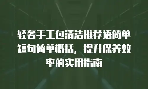轻奢手工包清洁推荐语简单短句简单概括，提升保养效率的实用指南