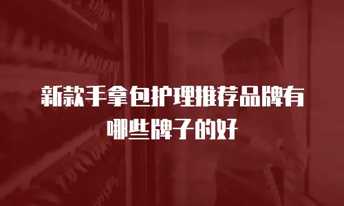 新款手拿包护理推荐品牌有哪些牌子的好