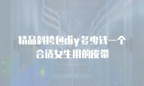 精品斜挎包diy多少钱一个合适女生用的皮带