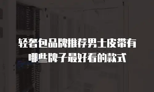 轻奢包品牌推荐男士皮带有哪些牌子最好看的款式