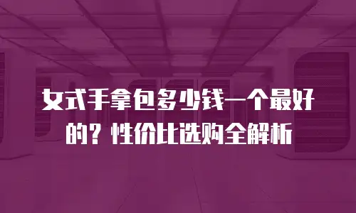 女式手拿包多少钱一个最好的？性价比选购全解析