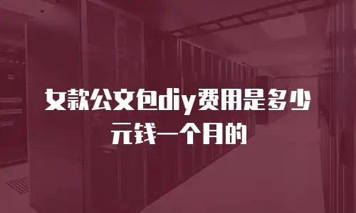 女款公文包diy费用是多少元钱一个月的