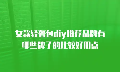 女款轻奢包diy推荐品牌有哪些牌子的比较好用点