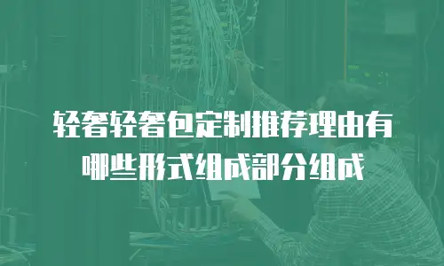 轻奢轻奢包定制推荐理由有哪些形式组成部分组成