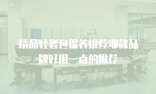 精品轻奢包保养推荐哪款品牌好用一点的推荐