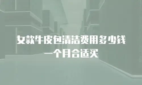 女款牛皮包清洁费用多少钱一个月合适买