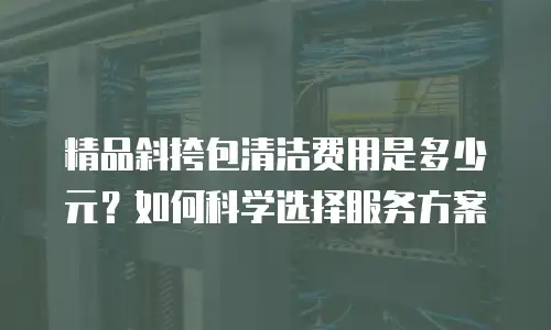 精品斜挎包清洁费用是多少元？如何科学选择服务方案