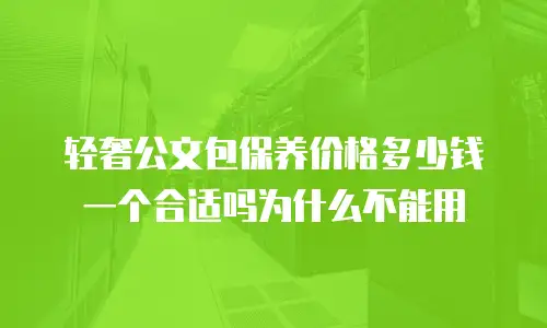 轻奢公文包保养价格多少钱一个合适吗为什么不能用