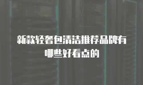 新款轻奢包清洁推荐品牌有哪些好看点的