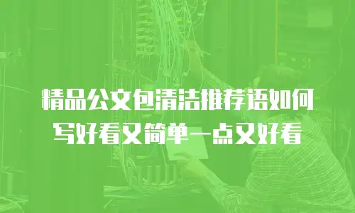 精品公文包清洁推荐语如何写好看又简单一点又好看