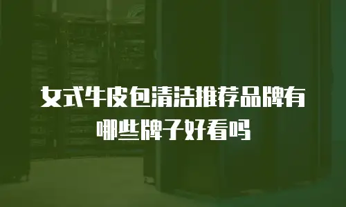 女式牛皮包清洁推荐品牌有哪些牌子好看吗