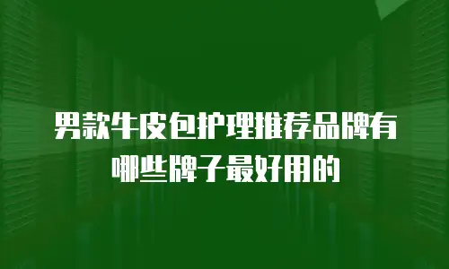 男款牛皮包护理推荐品牌有哪些牌子最好用的