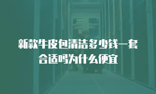 新款牛皮包清洁多少钱一套合适吗为什么便宜