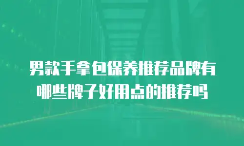 男款手拿包保养推荐品牌有哪些牌子好用点的推荐吗
