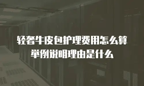 轻奢牛皮包护理费用怎么算举例说明理由是什么
