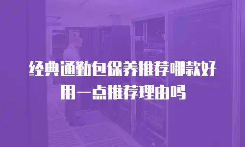 经典通勤包保养推荐哪款好用一点推荐理由吗