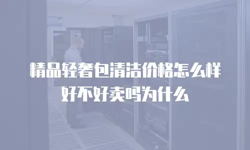 精品轻奢包清洁价格怎么样好不好卖吗为什么