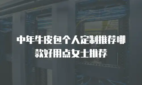 中年牛皮包个人定制推荐哪款好用点女士推荐