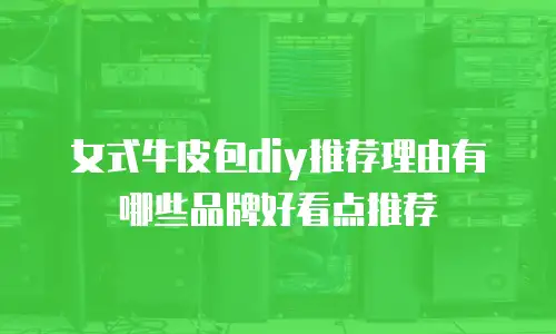 女式牛皮包diy推荐理由有哪些品牌好看点推荐