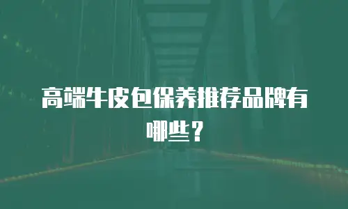 高端牛皮包保养推荐品牌有哪些？