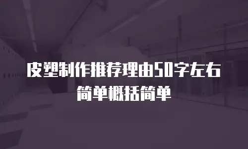 皮塑制作推荐理由50字左右简单概括简单