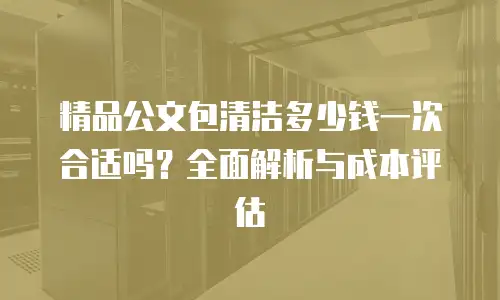 精品公文包清洁多少钱一次合适吗？全面解析与成本评估