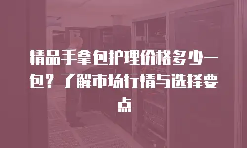 精品手拿包护理价格多少一包？了解市场行情与选择要点