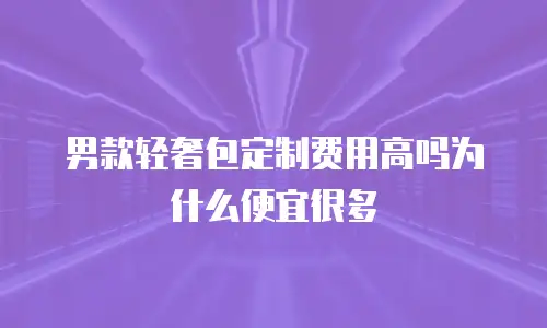 男款轻奢包定制费用高吗为什么便宜很多
