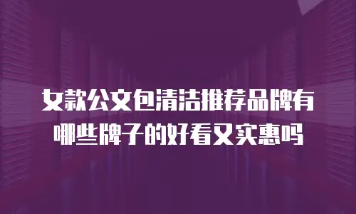 女款公文包清洁推荐品牌有哪些牌子的好看又实惠吗