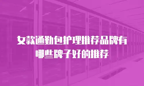 女款通勤包护理推荐品牌有哪些牌子好的推荐