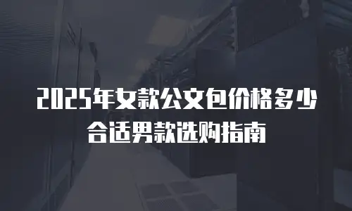2025年女款公文包价格多少合适男款选购指南