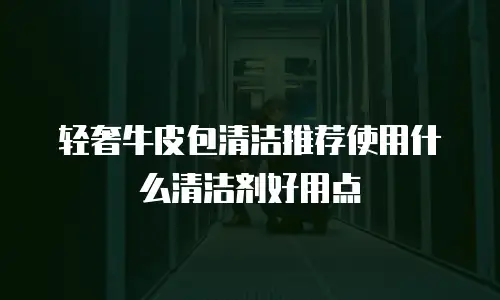 轻奢牛皮包清洁推荐使用什么清洁剂好用点