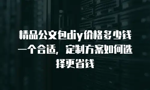 精品公文包diy价格多少钱一个合适，定制方案如何选择更省钱