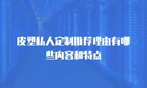 皮塑私人定制推荐理由有哪些内容和特点