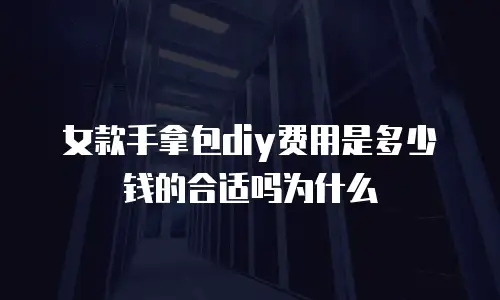 女款手拿包diy费用是多少钱的合适吗为什么