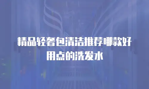 精品轻奢包清洁推荐哪款好用点的洗发水